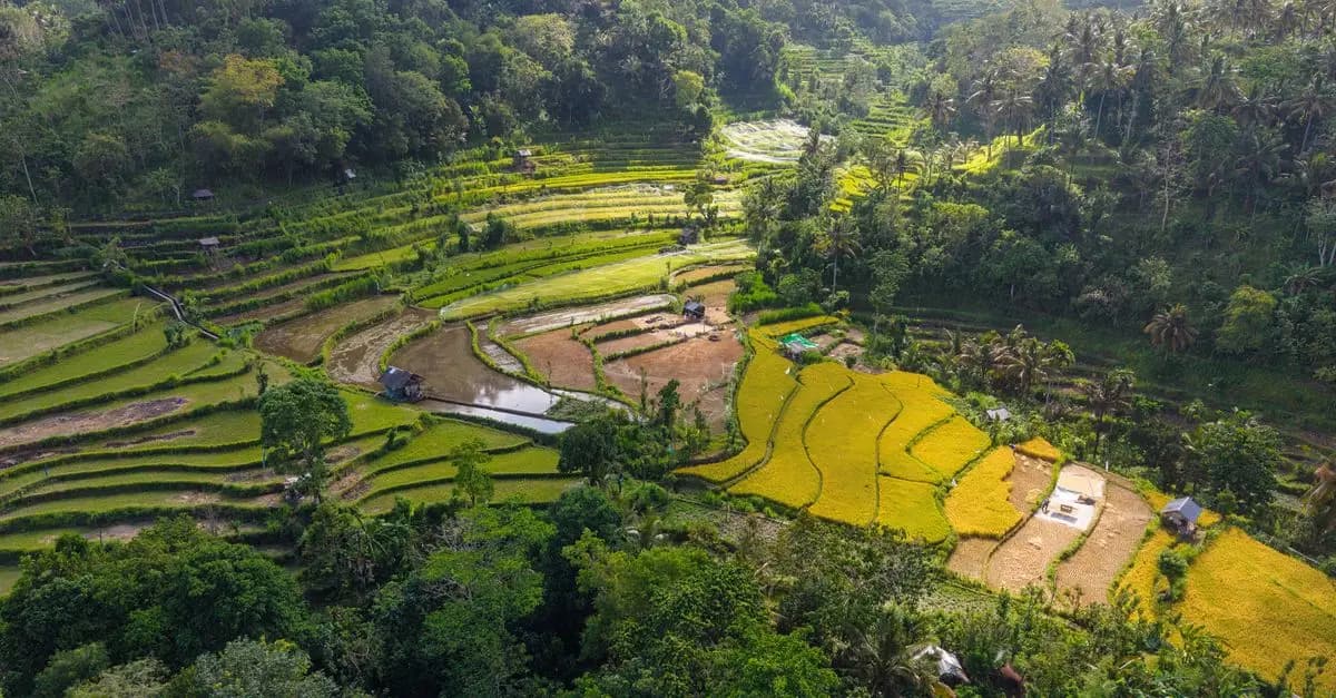 Les meilleures destinations pour des vacances inoubliables