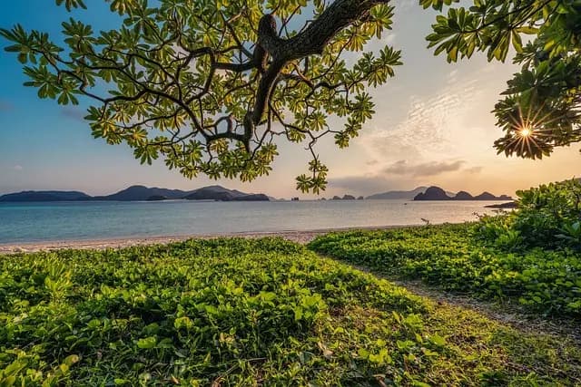 Comment organiser des vacances inoubliables en toute simplicité