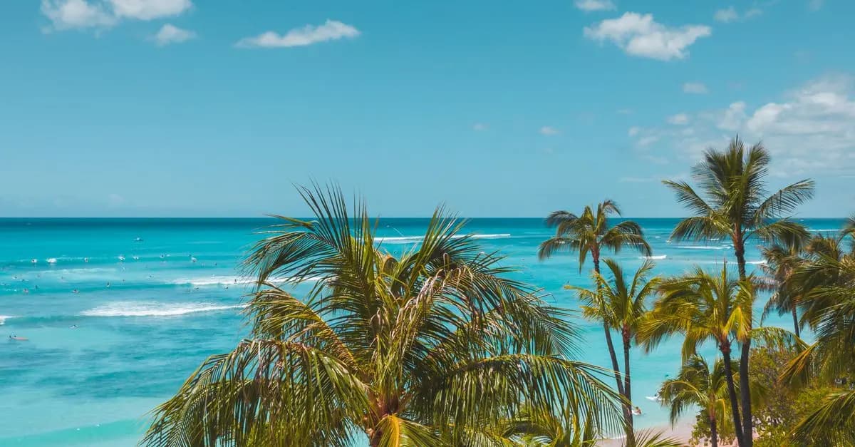 Les meilleures idées pour des vacances inoubliables au bord de la mer