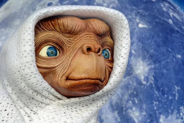 10 activités insolites pour des vacances inoubliables