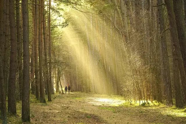 Comment vivre des vacances inoubliables en pleine nature