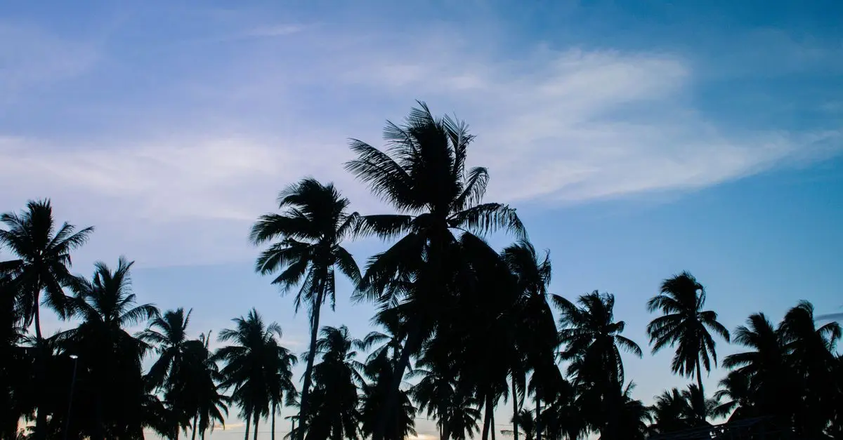 Les meilleures destinations de vacances inoubliables à explorer