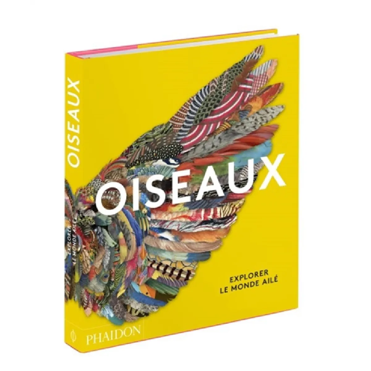 Oiseaux : explorer le monde ailé