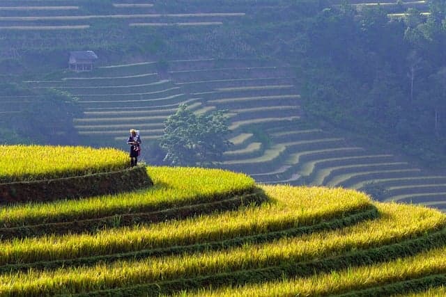 Les meilleures destinations pour des vacances inoubliables