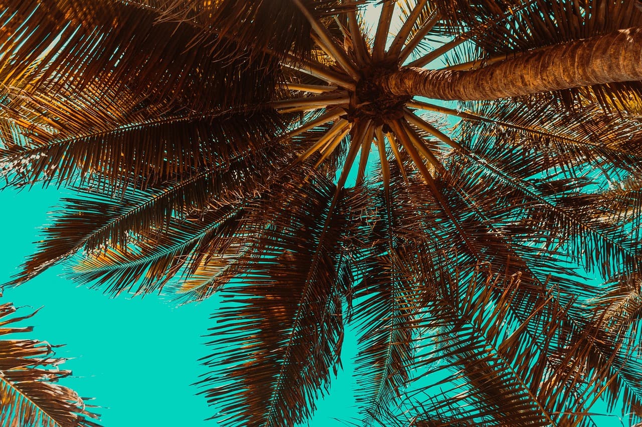 Les secrets des vacances inoubliables : conseils d'experts