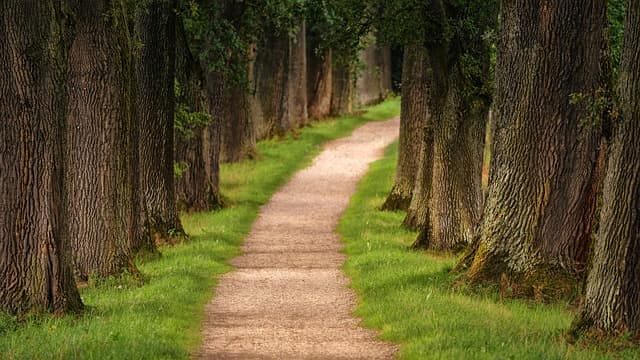 Les meilleures idées pour des vacances inoubliables dans la nature